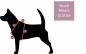 Mobile Preview: Hundegeschirr UNI-CORNI, pink und türkis, Einhorn, Chevron Muster, gefüttert mit Kunstleder, Hundeleine